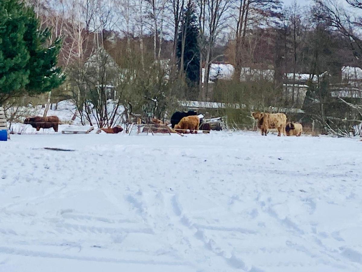Ferienhaus Am Schwielochsee Eksteriør billede